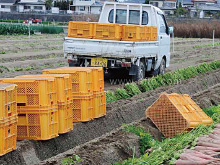 農地への乗り入れ